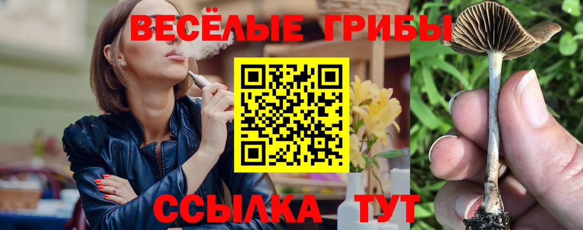 Галлюциногенные грибы мицелий Дзержинский